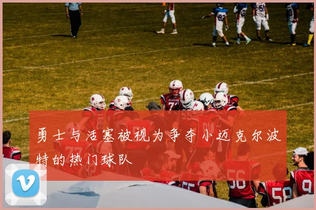 勇士与活塞被视为争夺小迈克尔波特的热门球队
