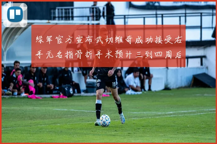 绿军官方宣布武切维奇成功接受右手无名指骨折手术预计三到四周后复查