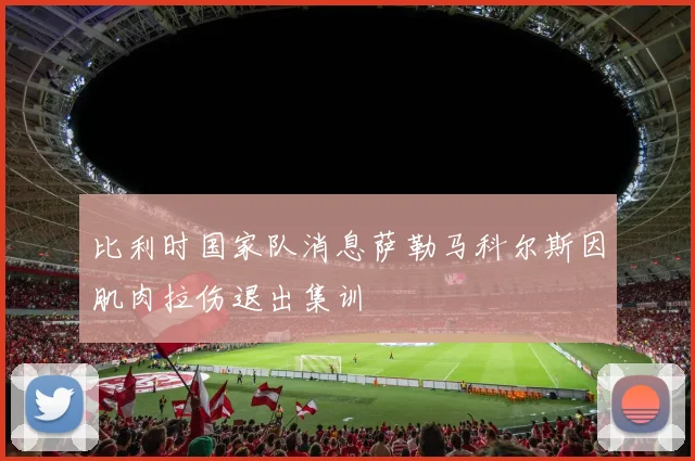 比利时国家队消息萨勒马科尔斯因肌肉拉伤退出集训