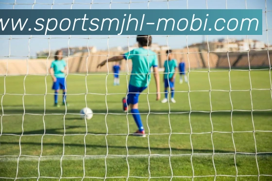 麻将胡了平台生态图